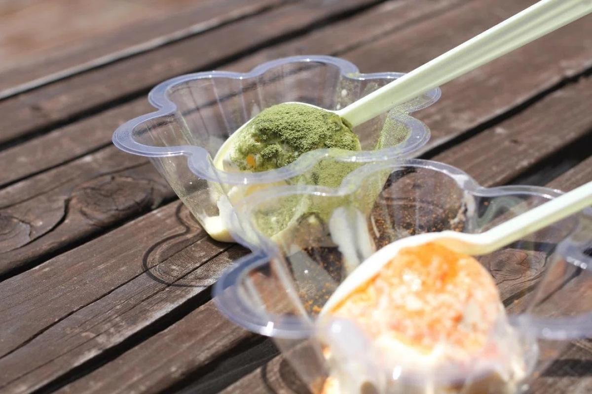 子ども向けイベントで「飲む粉野菜」をご活用いただきました